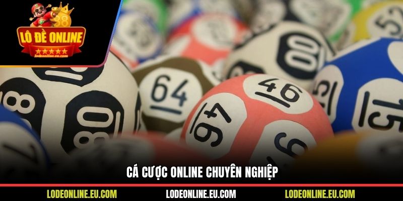 Cá cược online chuyên nghiệp