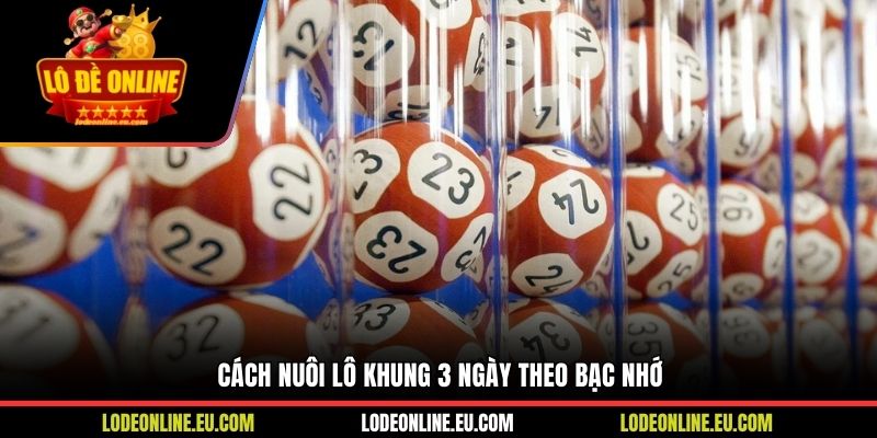 Cách nuôi lô khung 3 ngày theo bạc nhớ