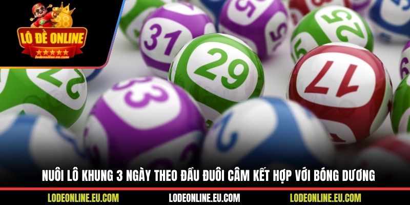 Nuôi lô khung 3 ngày theo đầu đuôi câm kết hợp với bóng dương
