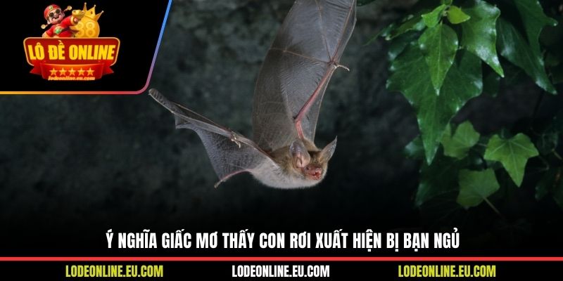 Ý nghĩa giấc mơ thấy con rơi xuất hiện bị bạn ngủ